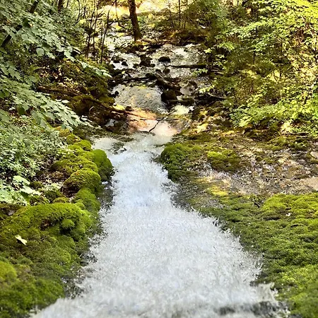 Apartamento Mixnitz-baerenschuetzklamm 1 *