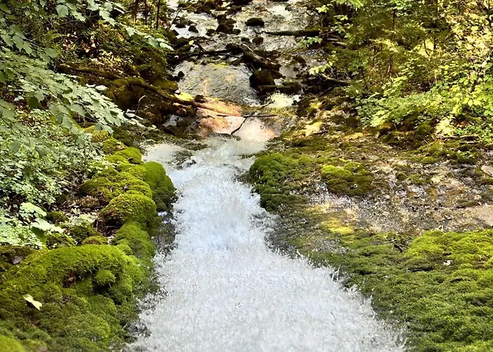 아파트 Mixnitz-baerenschuetzklamm 1 *